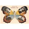 Image 1 : Greetings from Hollister, California Butterfly Woman Postcard