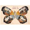 Image 1 : Greetings from Dublin, Georgia Butterfly Woman Postcard