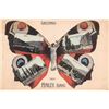 Image 1 : Greetings from Hailey, Idaho Butterfly Woman Postcard