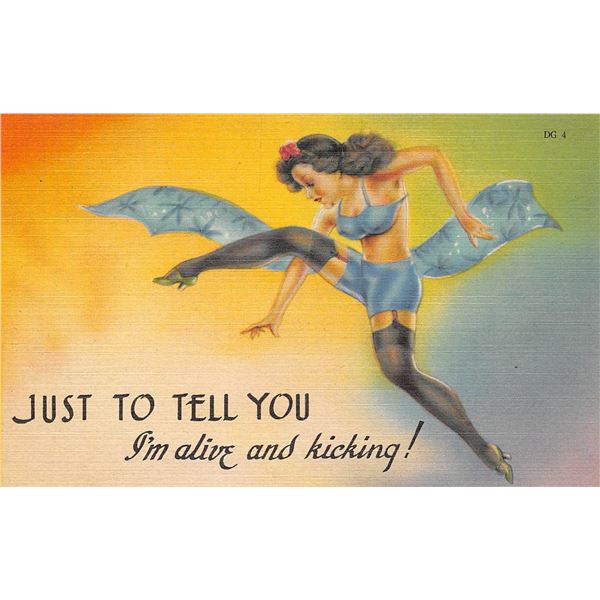 15 Tichnor Pin Up Women Postcards