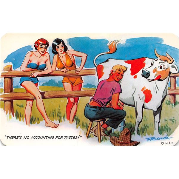 Set of 10 Comic Humor Risque Postcards