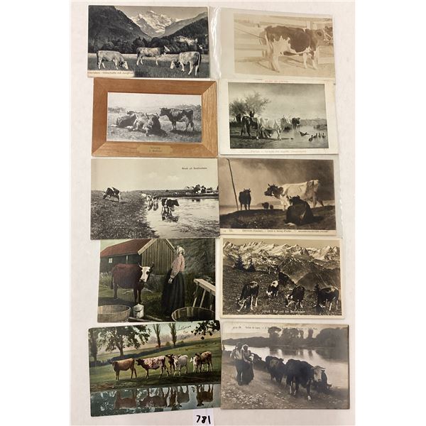 Animals - Cows & Related Postcards 90+
