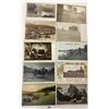 Image 3 : Animals - Cows & Related Postcards 90+