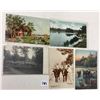 Image 5 : Animals - Cows & Related Postcards 90+