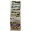 Image 6 : Animals - Cows & Related Postcards 90+
