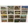 Image 1 : Sports - Stadium Postcards 45+