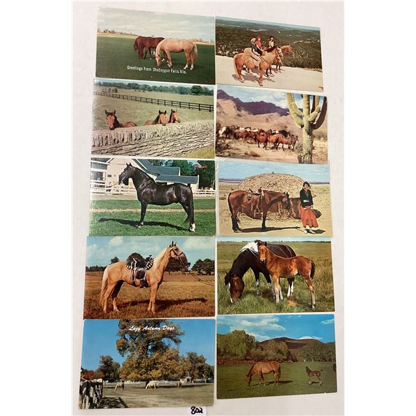 Animals - Horses Approx. 140 Postcards