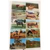 Image 1 : Animals - Horses Approx. 140 Postcards