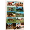 Image 3 : Animals - Horses Approx. 140 Postcards