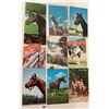 Image 4 : Animals - Horses Approx. 140 Postcards