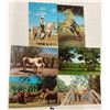 Image 5 : Animals - Horses Approx. 140 Postcards