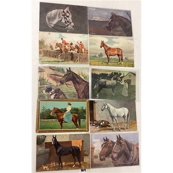 Animals - Horses 50+