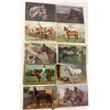 Image 1 : Animals - Horses 50+