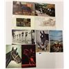 Image 4 : Animals - Horses 50+