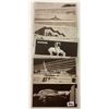 Image 3 : 1915 PPIE Pan-Pacific Exposition Postcards 21