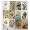 Image 2 : Lilly of the Valley Flower Postcards Approx. 125