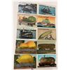 Image 2 : Exaggeration Postcards 60+