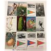 Image 5 : Exaggeration Postcards 60+