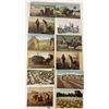 Image 6 : Farming Postcards 75+