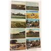Image 7 : Farming Postcards 75+