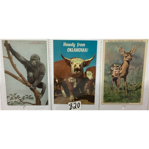 Animal Postcard Album Approx. 110