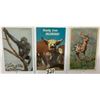 Image 1 : Animal Postcard Album Approx. 110