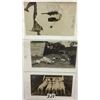 Image 3 : Animal Postcard Album Approx. 110