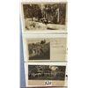 Image 4 : Animal Postcard Album Approx. 110