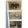 Image 5 : Animal Postcard Album Approx. 110