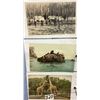 Image 6 : Animal Postcard Album Approx. 110