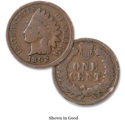 19th Century Lot of (10) Indian Heads-Circulated