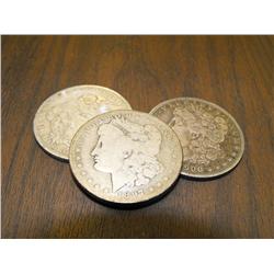 Lot of (3) Assorted 19th Century Morgans- VG Plus