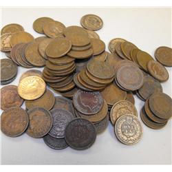Lot of 100 Indian Head Pennies-