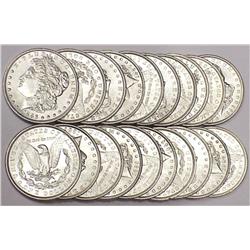 Lot of 9 Stunning Frosty White Morgans  $ 1