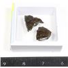 Image 1 : AMMOLITE GEMSTONE SPECIMENS