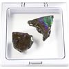 Image 2 : AMMOLITE GEMSTONE SPECIMENS