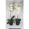 Image 1 : FAUX ORCHID FLOWERS IN BLACK POTS