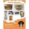 Image 1 : Online Auction