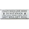 Image 4 : Dog Decoration Lot