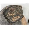 Image 2 : Fossilized Rocks