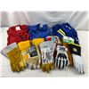 Image 1 : Coveralls and Gloves
