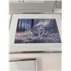 Image 6 : Framed Art Prints
