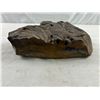 Image 3 : Fossilized Rock