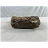Image 4 : Fossilized Rock