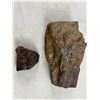 Image 1 : Fossilized Rock Lot