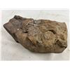 Image 3 : Fossilized Rock Lot