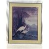 Image 1 : Hero Nim Oriental Egrets