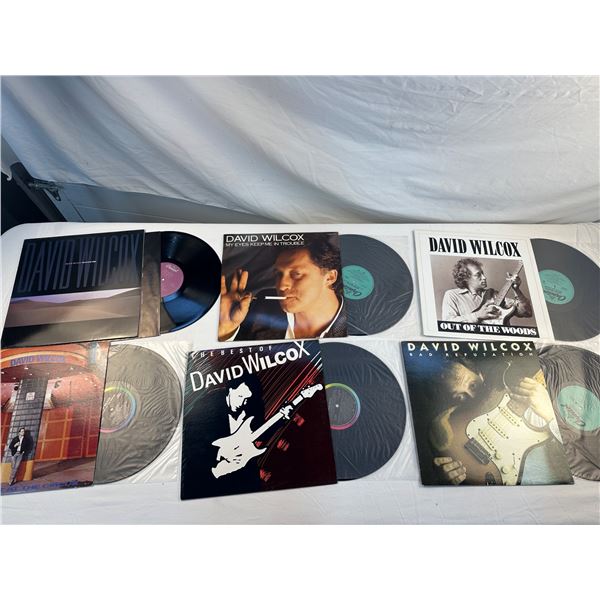 David Wilcox Records Lot