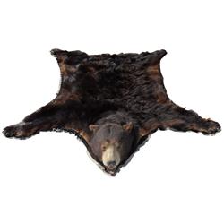 Bear mount floor rug, dark brown, earlier 1900's, VG cond w/wear on lining, 6'L x 46"W.