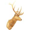 Image 1 : Mounted elk head, a large well-mounted trophy, great for your cabin, office or home, VG cond, 57"H x